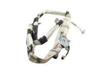 Ford GD9Z-54042D95-A Curtain Assembly, Driver Side