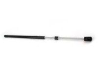 Ford 9L7Z-16C826-A Lift Assembly - Gas, Passenger Side