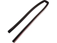 Ford 5L3Z-16253A40-AA Door Weatherstrip, Rear