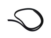 Ford CV6Z-5825324-A Weatherstrip On Body, Rear Inner