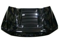 Ford HC3Z-16612-A Hood Assembly, Front
