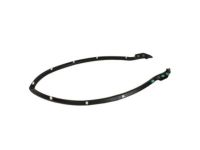Ford FR3Z-16A238-A Weatherstrip, Passenger Side
