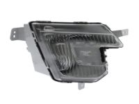 Ford FB5Z-15200-G Fog Lamp Assembly, Front Passenger Side