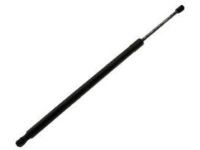 Ford 8A8Z-74406A11-A Lift Cylinder, Driver Side