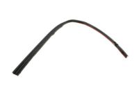 Ford 8L5Z-1051222-A Upper Weatherstrip, Passenger Side