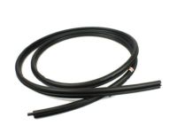 Ford 8L8Z-7851223-C Weatherstrip, Driver Side