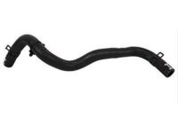 Ford 9G1Z-3691-A Reservoir Hose