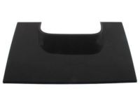 Ford BC3Z-2504459-AB Closure Panel, Charcoal
