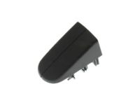 Ford AM5Z-17218B08-A Lock Bezel, Black, Front Center