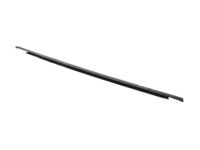 Ford BM5Z-5825860-B Belt Weatherstrip, Black, Rear Outer Passenger Side