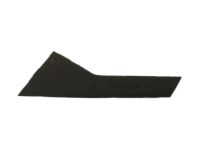 Ford FT4Z-58255A35-G Rear Applique, Driver Side