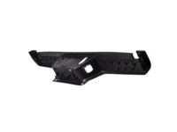 Ford HL3Z-17B807-CD Step Pad, Rear