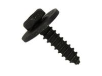 Ford -W700092-S303 Side Extension Retainer Screw, Lower