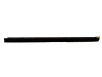 Ford 8L5Z-1021457-A Belt Weatherstrip, Front Driver Side