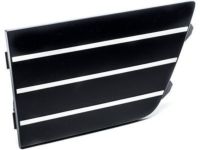Ford 8A5Z-17K945-AB Lower Grille Insert Panel, Driver Side
