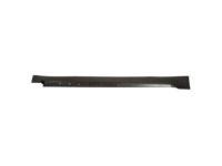Ford DP5Z-5410176-A Rocker Molding, Passenger Side