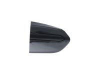 Ford DS7Z-54218A14-AAPTM Bezel, Passenger Side