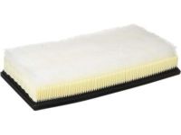 Ford F81Z-9601-AB Air Filter Ford F81Z-9601-AB Air Filter