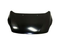 Ford AM5Z-16612-A Hood, Front