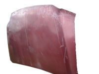Ford 4C3Z-16612-AA Hood, Front