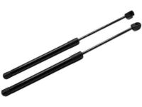 Ford F81Z-16C826-AA Lift Assembly - Gas, Passenger Side