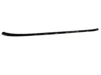 Ford BM5Z-5803179-A Windshield Molding Retainer Strip, Driver Side