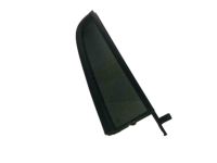 Ford 2L1Z-7825380-BA Glass - Door, Passenger Side