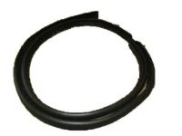 Ford DS7Z-5420709-A Weatherstrip Assembly - Door Opening, Driver Side