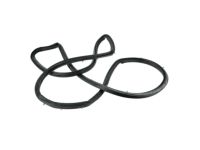 Ford 2F4Z-5425324-AA Door Weatherstrip, Passenger Side