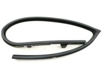 Ford 8L8Z-7821547-B Run Channel, Front Driver Side