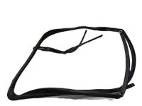 Ford CK4Z-6121596-E Window Channel, Front Passenger Side