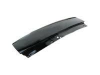 Ford 2L1Z-7829077-AAA Lower Molding, Rear Driver Side