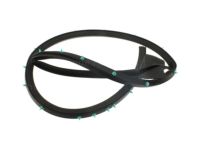 Ford 7R3Z-6320530-A Weatherstrip, Passenger Side