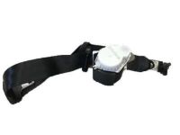 Ford DT1Z-17611B69-AA Lap & Shoulder Belt, Driver Side