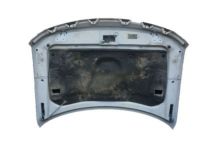 Ford CL3Z-16612-A Hood, Front