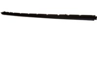 Ford 3W1Z-5410176-AAA Rocker Molding, Passenger Side