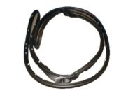 Ford 1L2Z-7825325-AA Weatherstrip, Driver Side