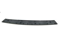 Ford 2L7Z-17B807-AAA Step Pad, Rear