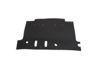 Ford BL3Z-8327-B Lower Deflector, Front