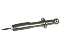 Ford BW7Z-18125-B Shock Absorber, Blue/Green, Rear