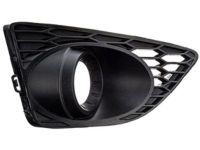 Ford AE5Z-17E810-BA Insert Panel, Front Passenger Side