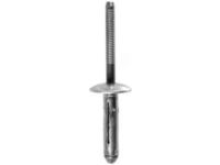 Ford -W705297-S300 License Bracket Rivet, Front