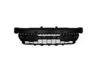 Ford FL1Z-17D635-AA Bumper Grille, Front