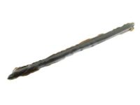 Ford BB5Z-78406A10-C Support Cylinder, Rear Passenger Side