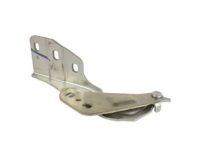 Ford DP5Z-16796-A Hinge, Front Passenger Side