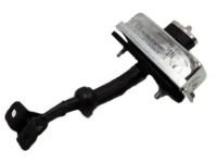 Ford 7L1Z-7823552-A Door Check, Front