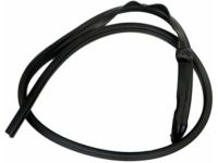 Ford 4L3Z-1651222-AA Weatherstrip, Passenger Side
