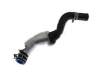 Ford AH6Z-3691-C Reservoir Hose