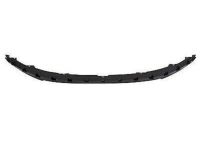 Ford BT4Z-17626-AA Valance Panel, Front