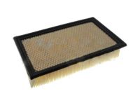 Ford 1L2Z-9601-AA Air Filter